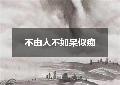 不由人不如呆似痴