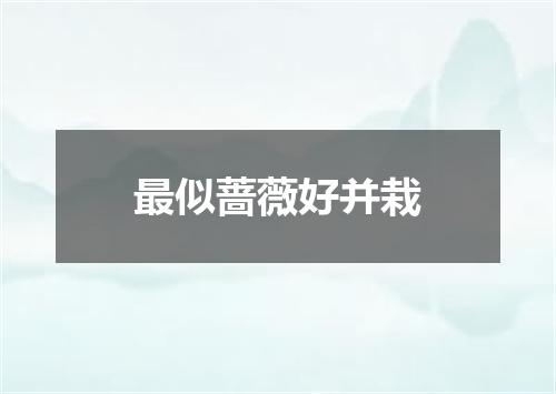 最似蔷薇好并栽