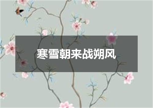 寒雪朝来战朔风