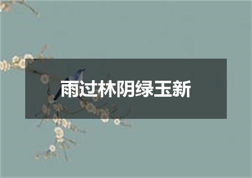 雨过林阴绿玉新