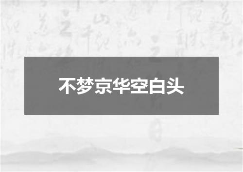 不梦京华空白头