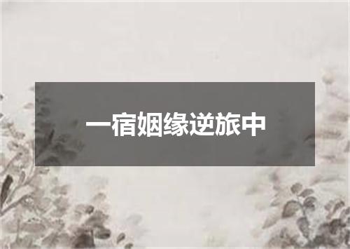 一宿姻缘逆旅中