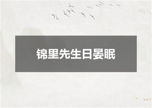 锦里先生日晏眠