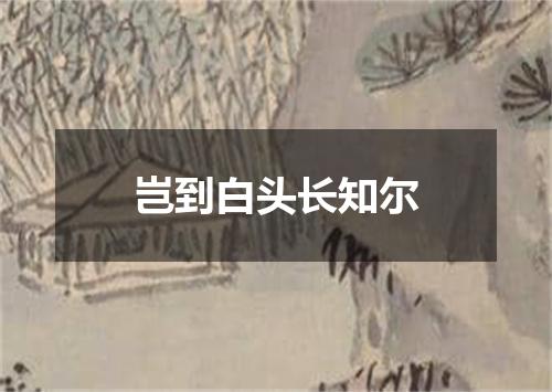 岂到白头长知尔