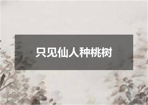 只见仙人种桃树