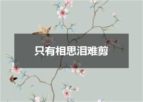 只有相思泪难剪