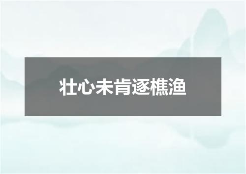 壮心未肯逐樵渔