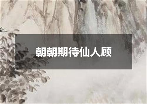 朝朝期待仙人顾