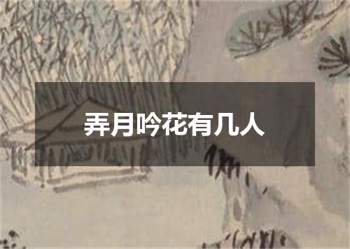 弄月吟花有几人