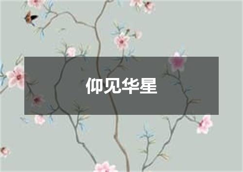 仰见华星