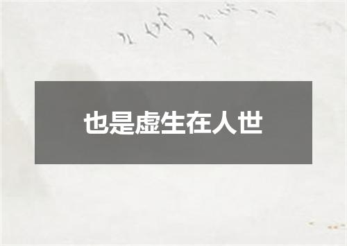 也是虚生在人世