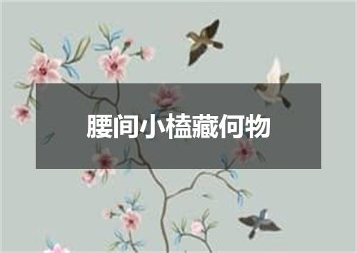 腰间小榼藏何物