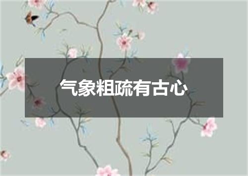 气象粗疏有古心