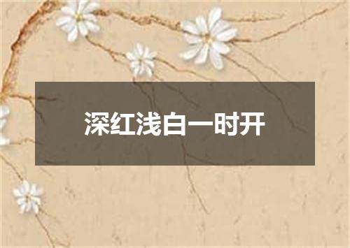 深红浅白一时开