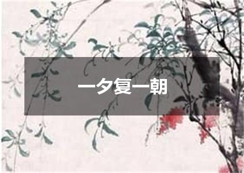 一夕复一朝