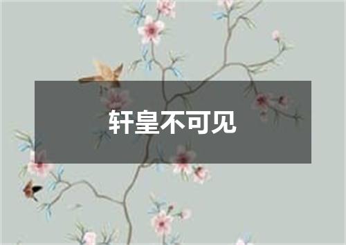 轩皇不可见