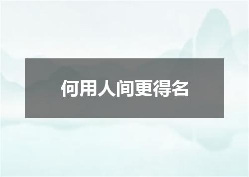 何用人间更得名