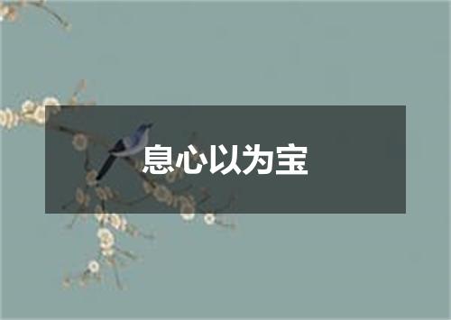 息心以为宝