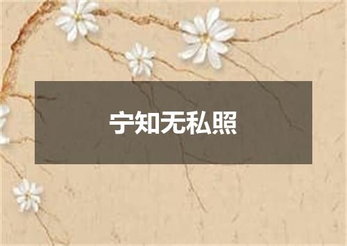 宁知无私照