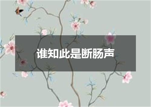 谁知此是断肠声