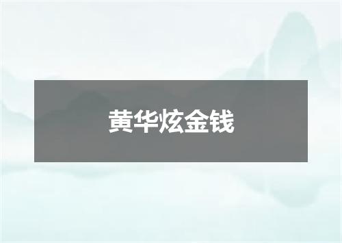 黄华炫金钱