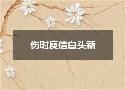 伤时庾信白头新