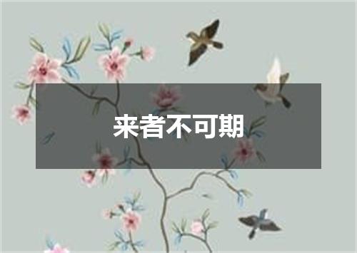 来者不可期