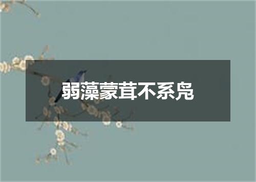 弱藻蒙茸不系凫