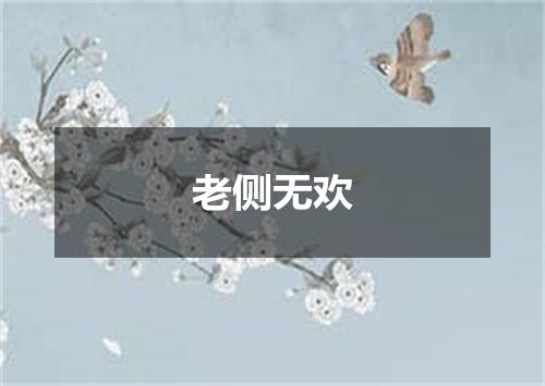 老侧无欢