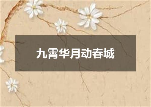 九霄华月动春城