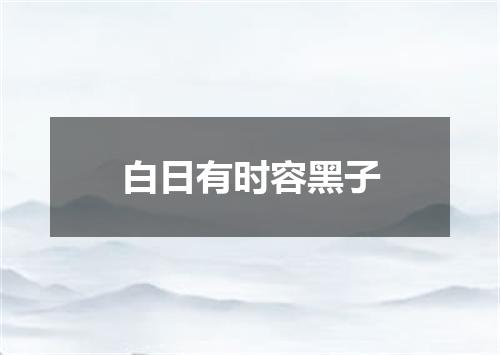 白日有时容黑子