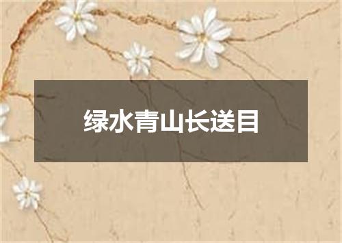 绿水青山长送目