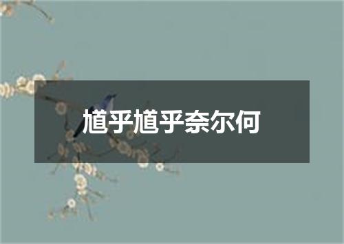 馗乎馗乎奈尔何