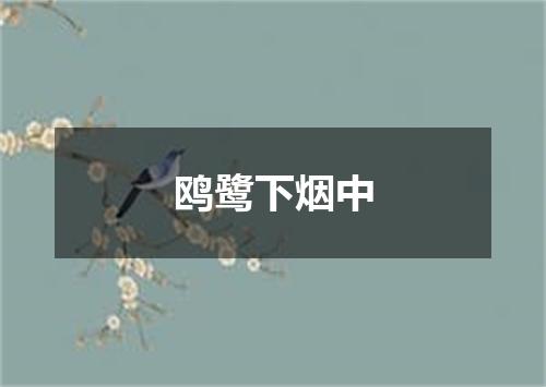 鸥鹭下烟中