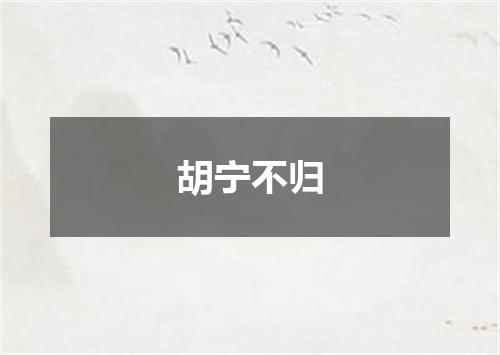 胡宁不归