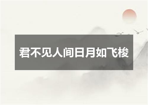 君不见人间日月如飞梭