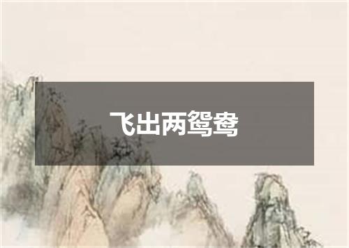 飞出两鸳鸯