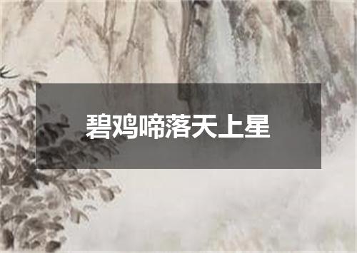 碧鸡啼落天上星