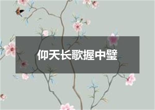 仰天长歌握中璧