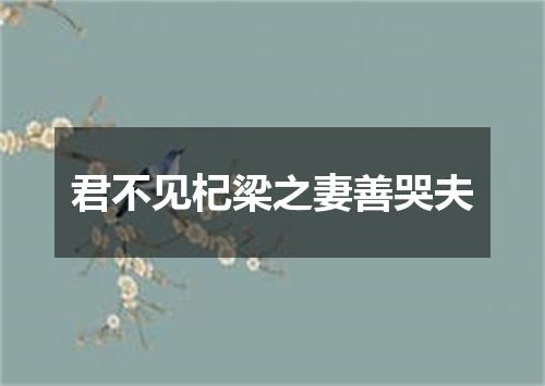 君不见杞梁之妻善哭夫