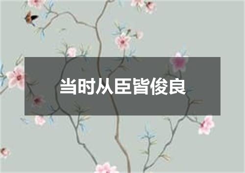当时从臣皆俊良