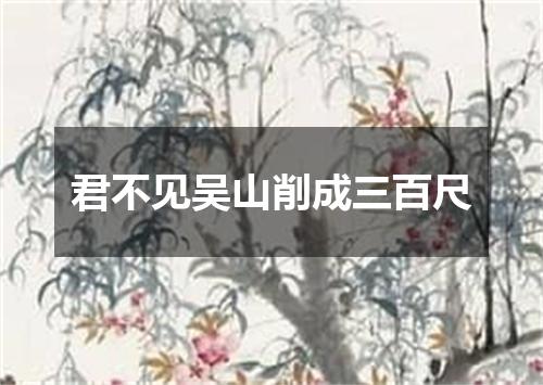 君不见吴山削成三百尺