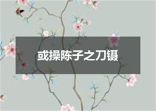 或操陈子之刀镊