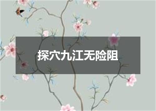 探穴九江无险阻