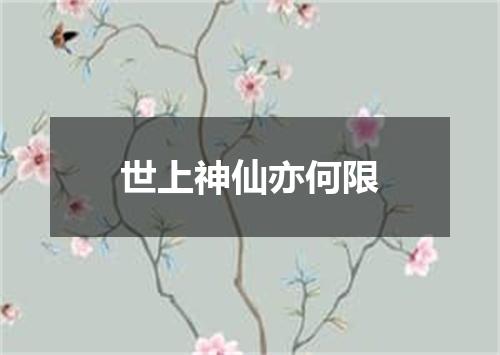 世上神仙亦何限
