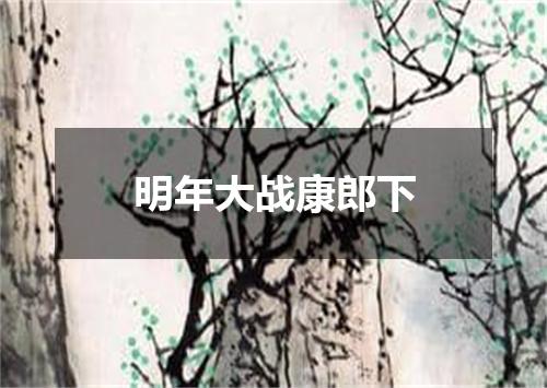明年大战康郎下