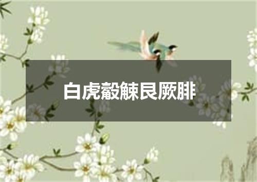 白虎觳觫艮厥腓