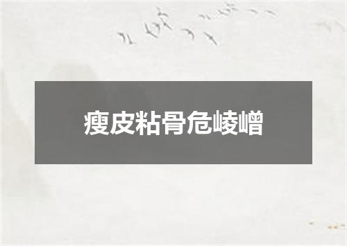瘦皮粘骨危崚嶒