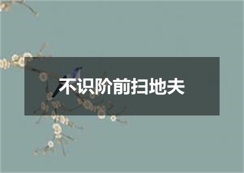 不识阶前扫地夫