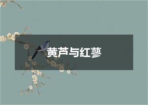 黄芦与红蓼